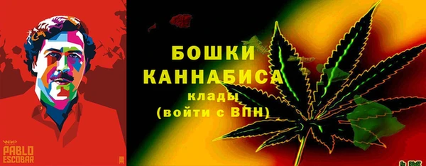 стаф Волосово