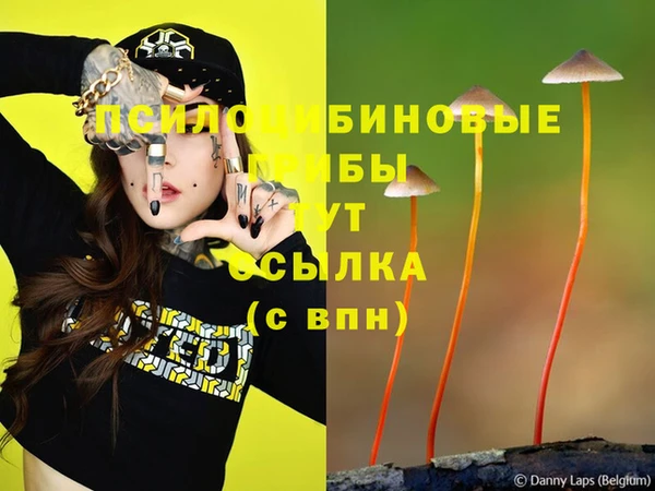 стаф Волосово