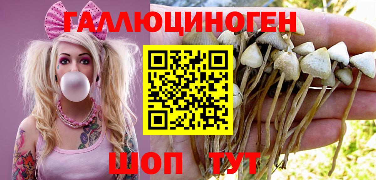 Псилоцибиновые грибы Cubensis  Вход с VPN  Славянск-на-Кубани 