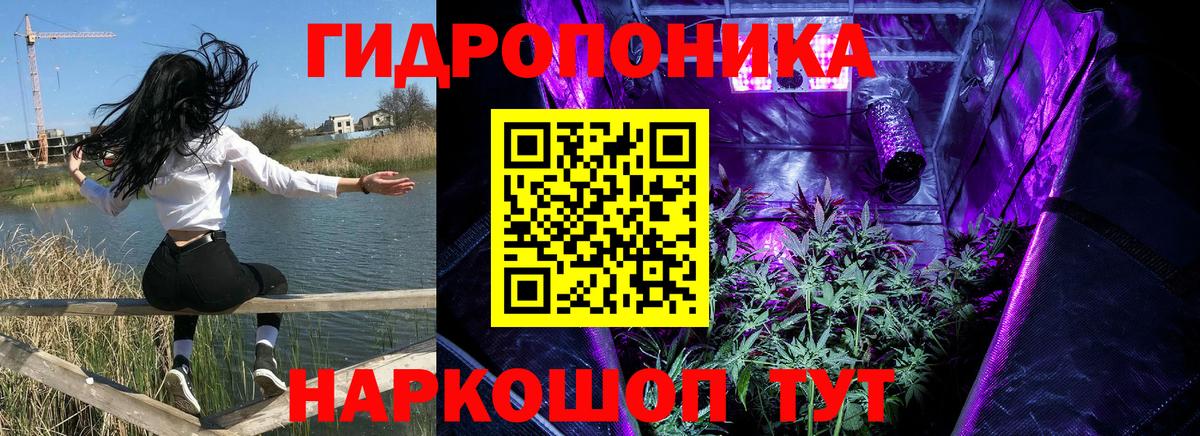 Марихуана Amnesia Славянск-на-Кубани